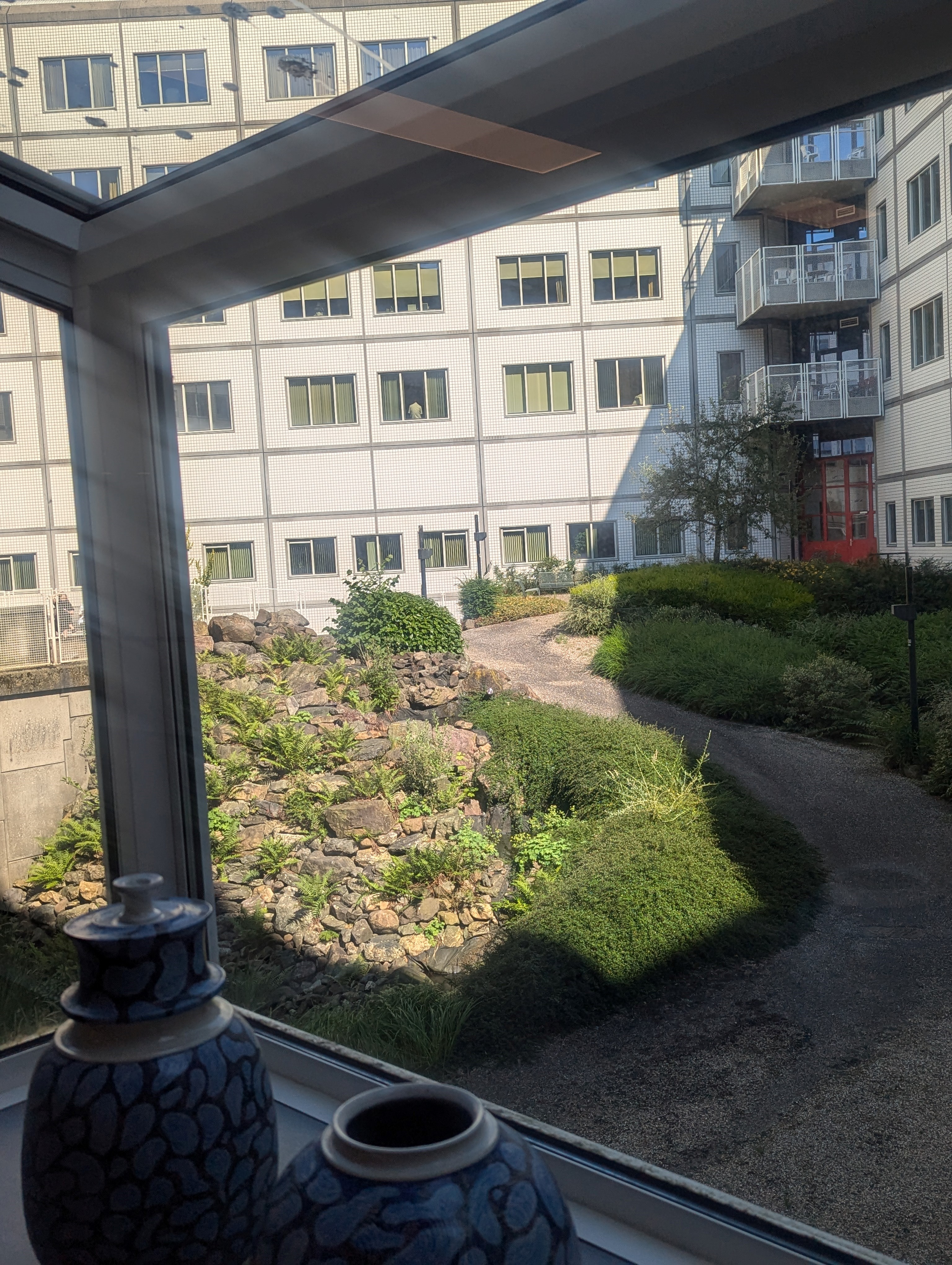 The photo shows the view from a hospital window. There is a green garden with a windy path going through it